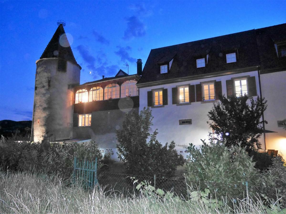 Les Gites De La Tour, Appartement "La Plaine" Сен-Иполит Екстериор снимка