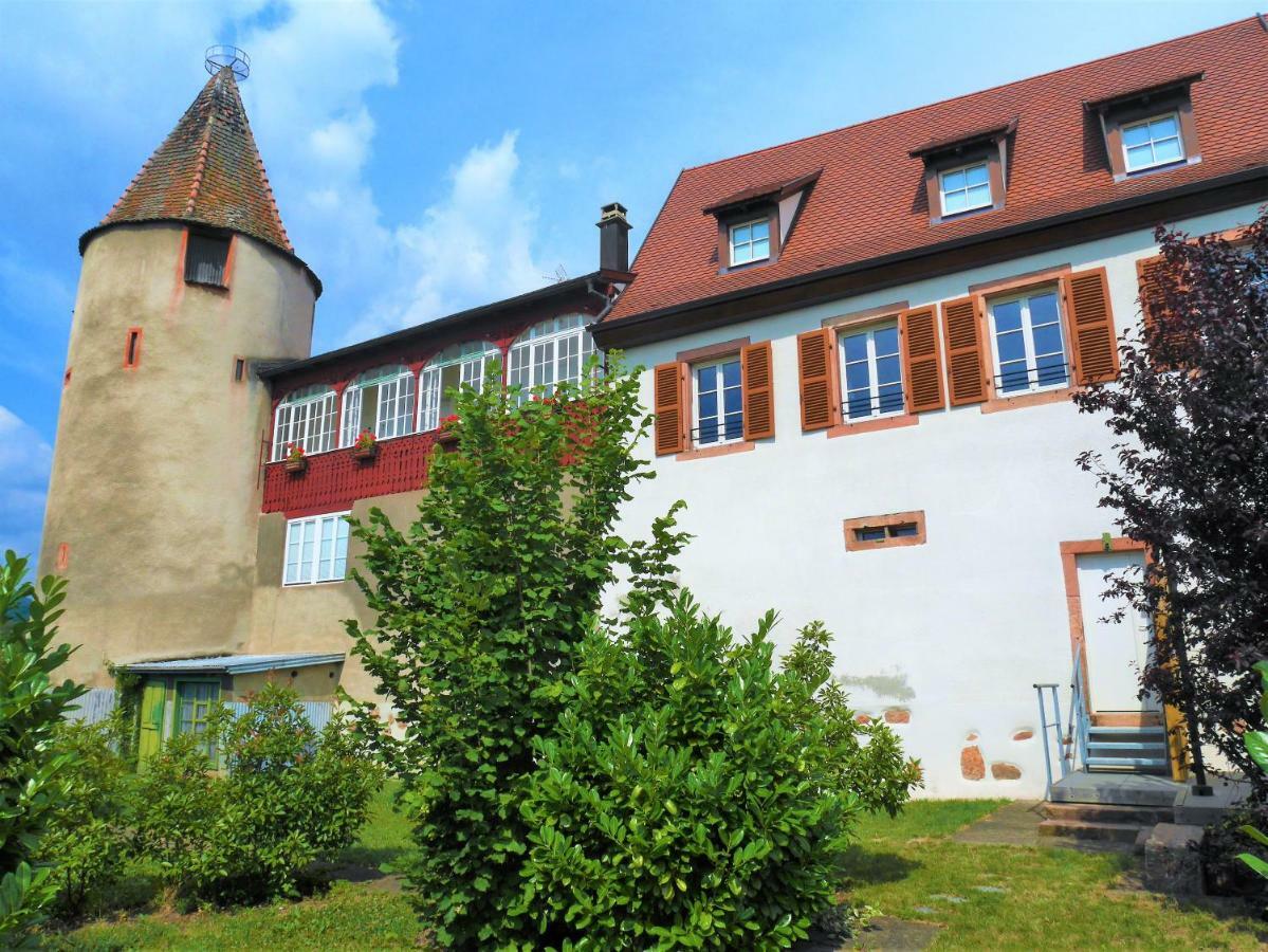Les Gites De La Tour, Appartement "La Plaine" Сен-Иполит Екстериор снимка